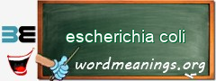 WordMeaning blackboard for escherichia coli